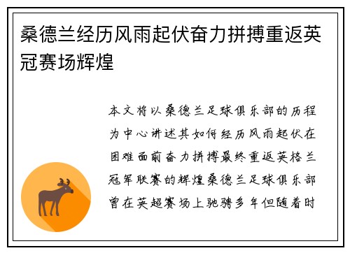 桑德兰经历风雨起伏奋力拼搏重返英冠赛场辉煌 桑德兰经历风雨起伏奋力拼搏重返英冠赛场辉煌